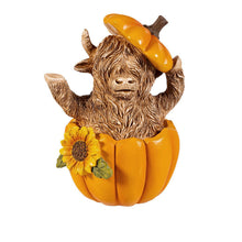 Load image into Gallery viewer, Resin Decor, Fall Highland Cow, 2 Assorted
