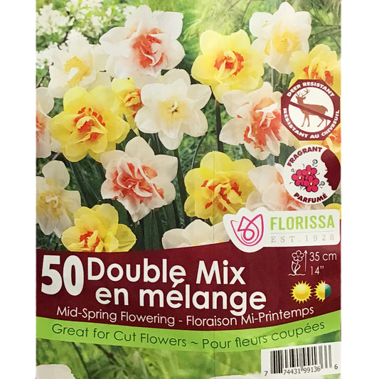 Narcissus, Double Mix  Bulbs, 50 Pack