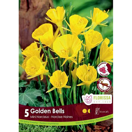 Narcissi, Golden Bells Bulbs, 5 Pack
