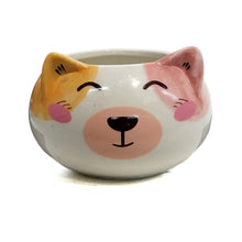 Load image into Gallery viewer, Planter, 3in, Cat Paw Orange, Round
