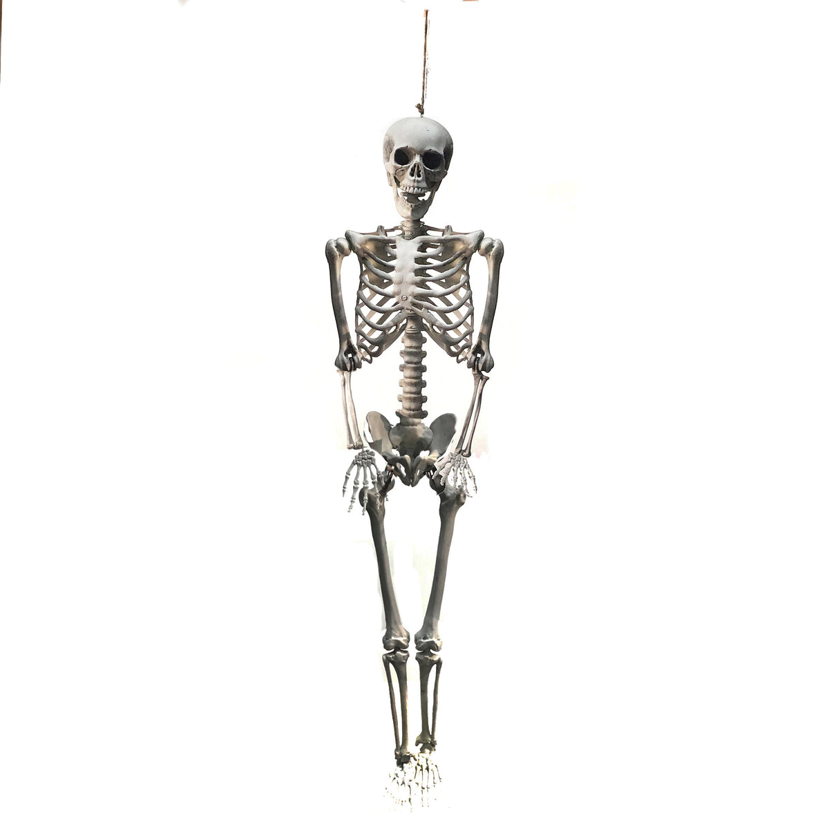Decor, Plastic Skeleton, 65in Tall