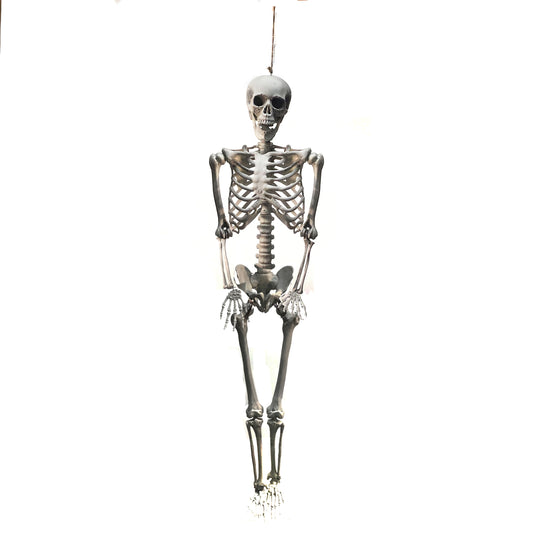 Decor, Plastic Skeleton, 65in Tall