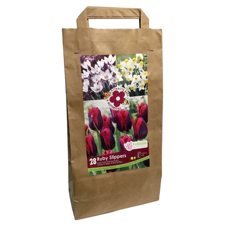 Bag Pollinator - Ruby Slippers