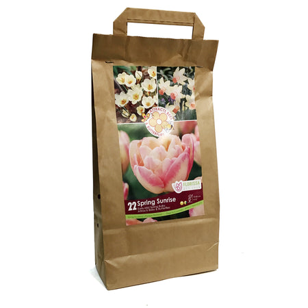 Bag Pollinator - Spring Sunshine