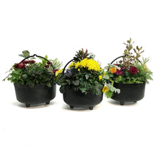 Load image into Gallery viewer, Planter, 25cm, Magic Potion Mix
