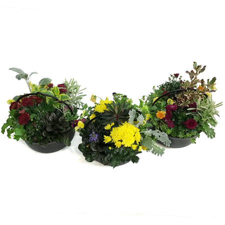 Planter, 25cm, Magic Potion Mix