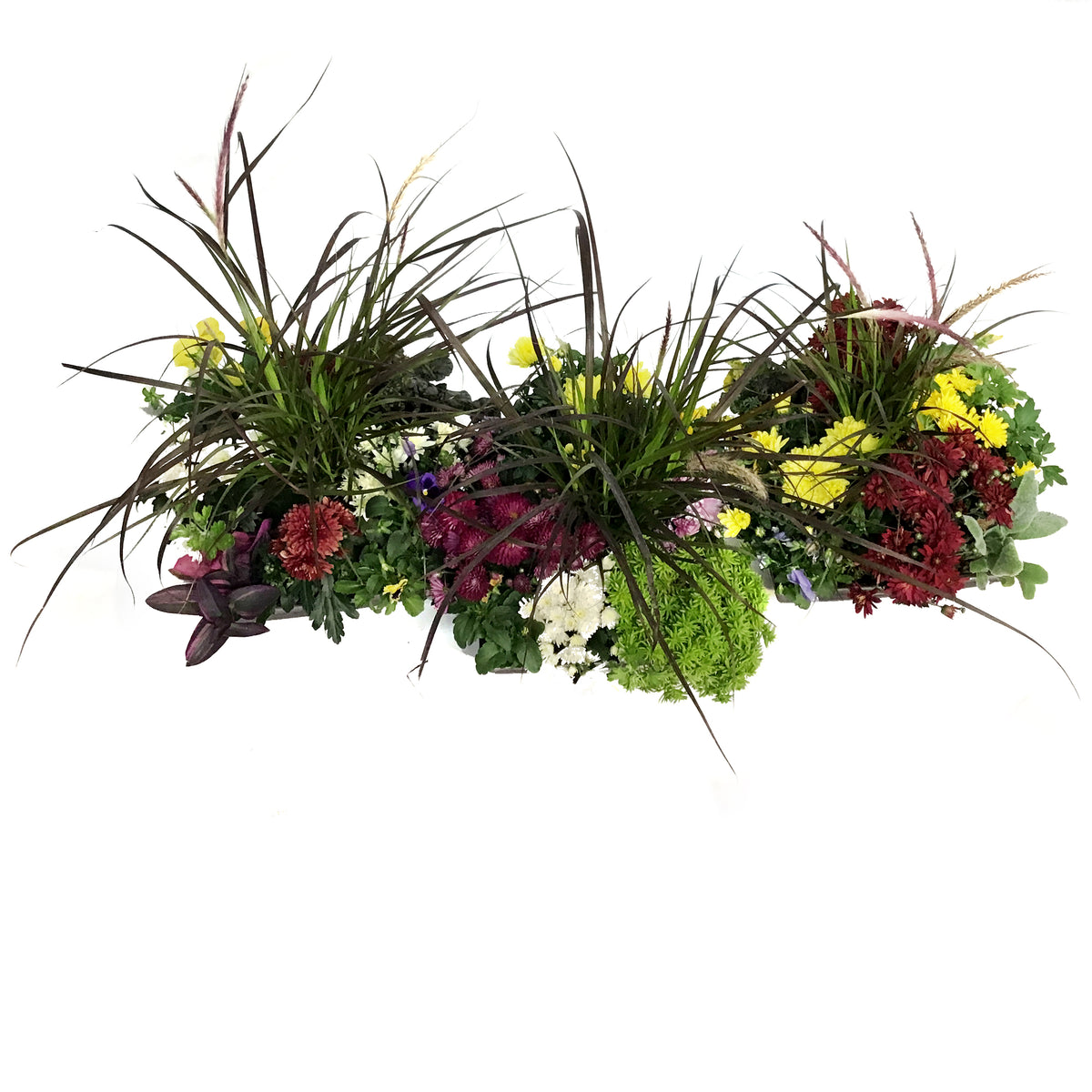 Planter, 26cm, Ann's Spice Mix