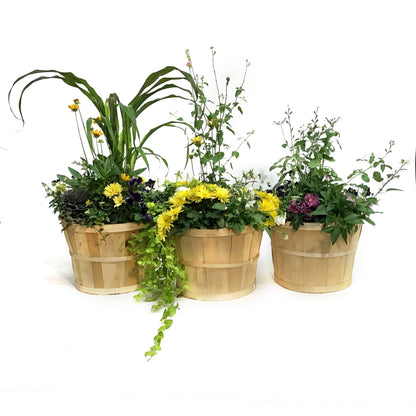 Planter, 28cm, Apple Basket Mix