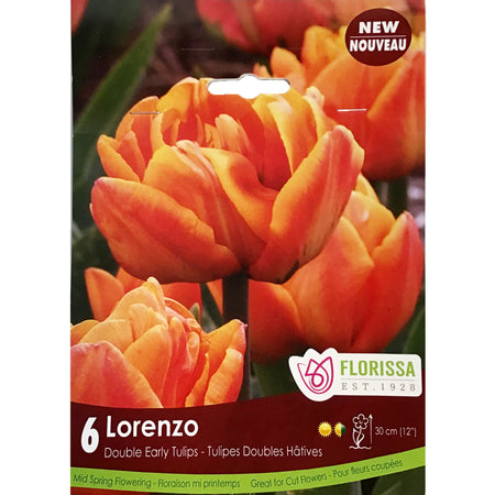 Tulip, Lorenzo Bulbs, 6 Pack
