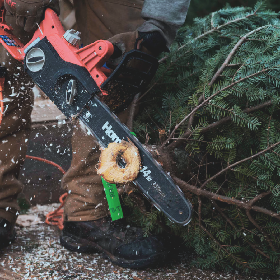Service, Fresh-Cut (Christmas Trees)