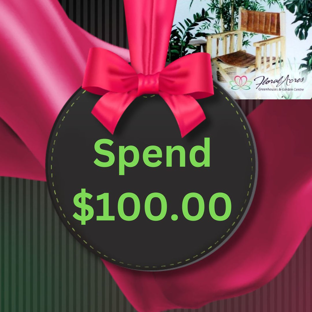 Physical Gift Card, $100.00