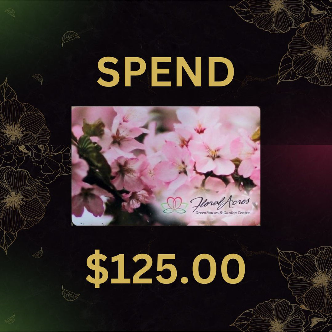 Physical Gift Card, $125.00