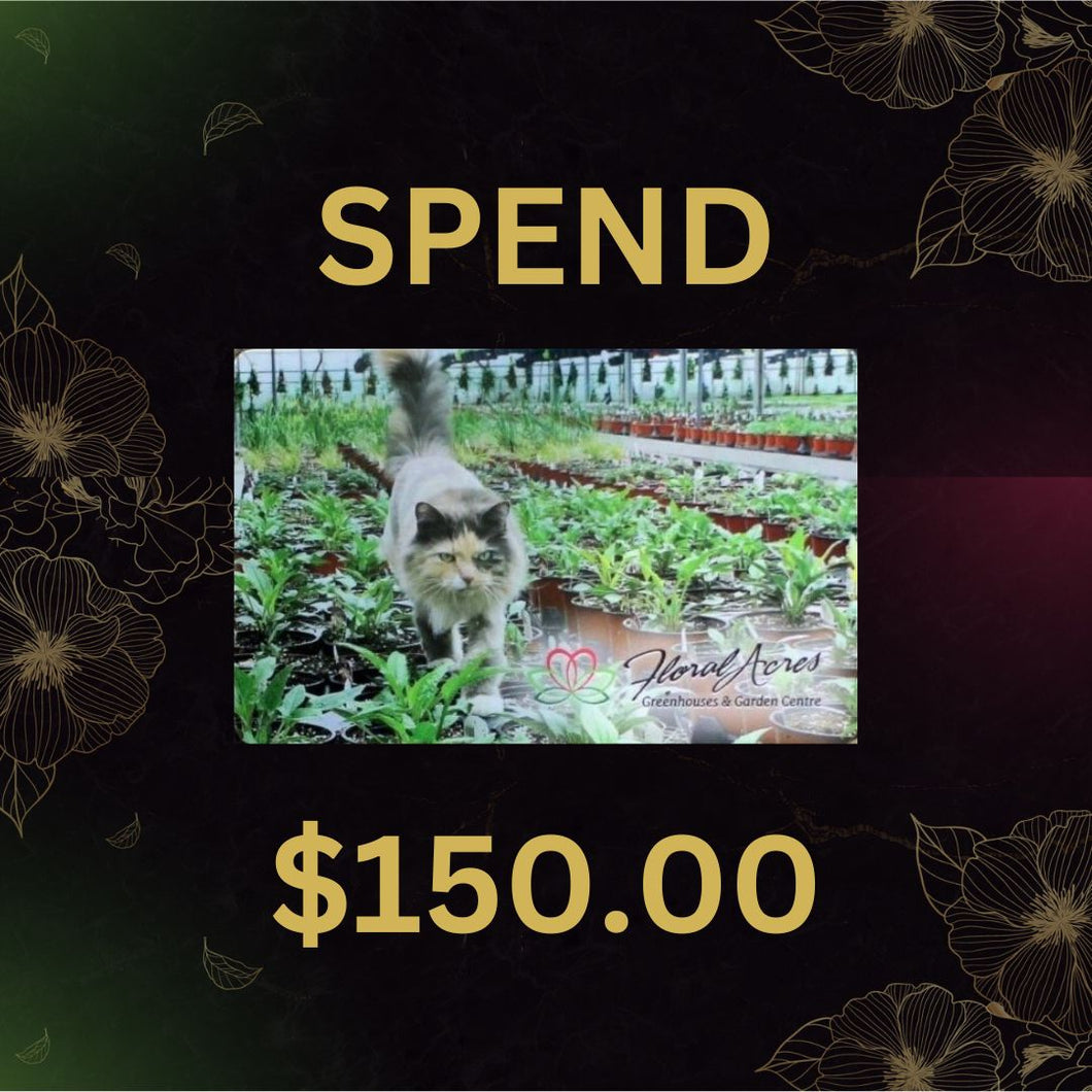 Physical Gift Card, $150.00