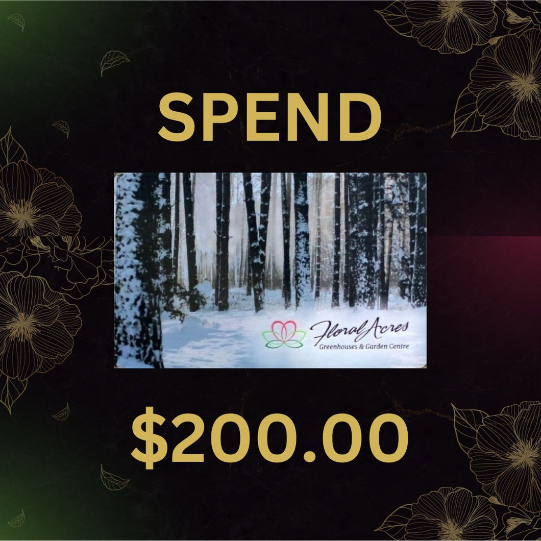 Physical Gift Card, $200.00