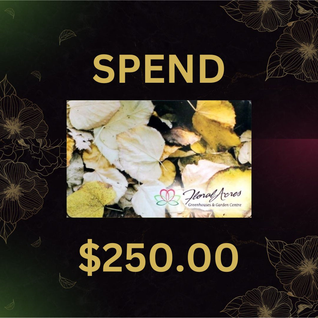 Physical Gift Card, $250.00