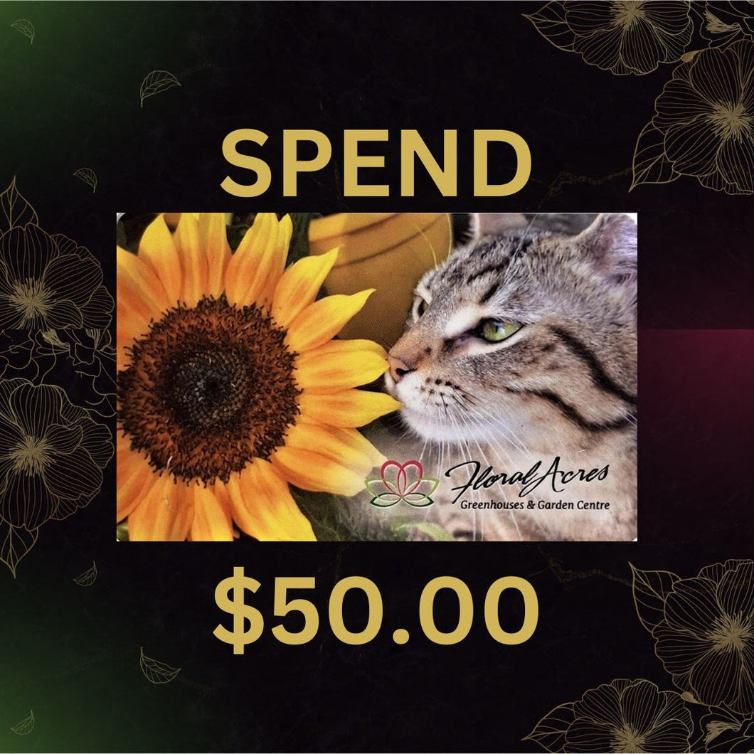 Physical Gift Card, $50.00