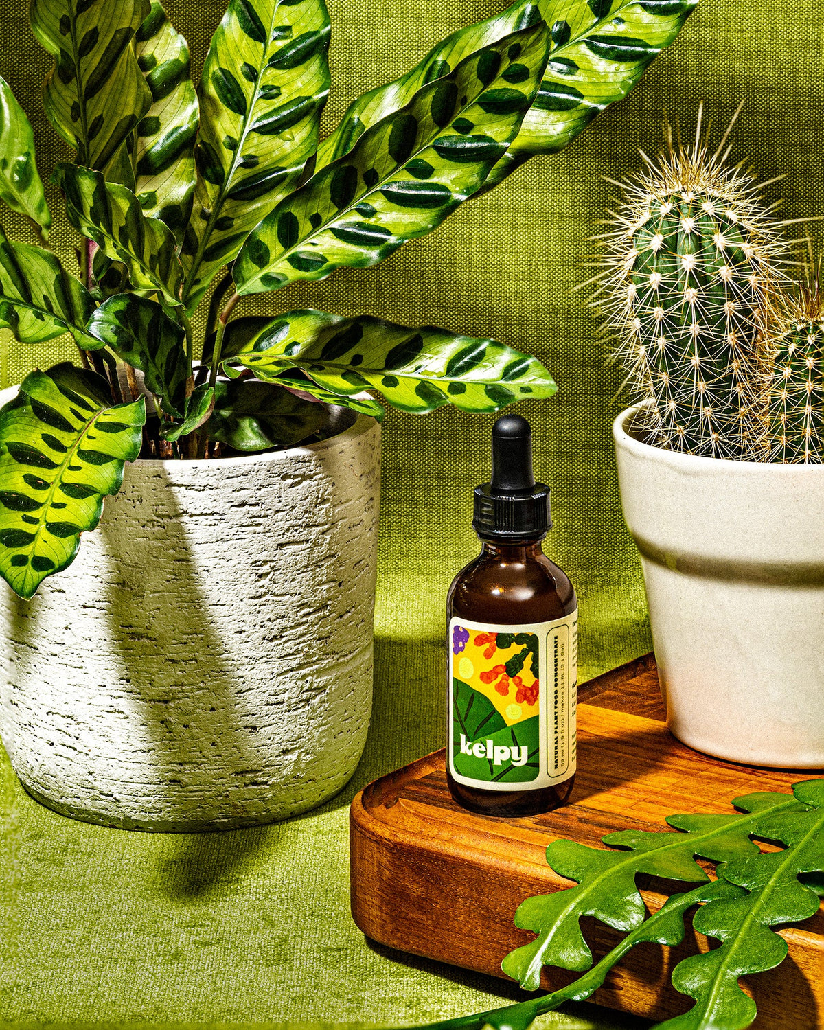 Kelpy Plant Food, 59ml