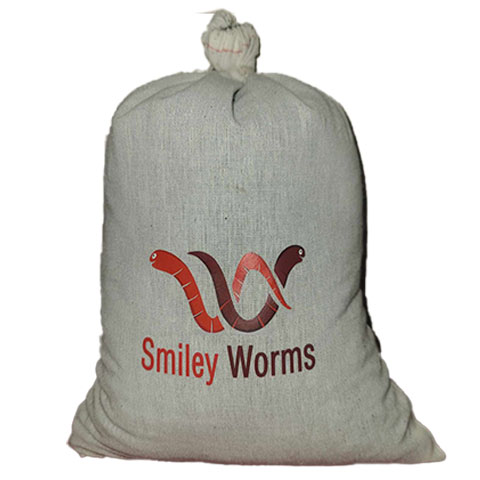 Worms, Red Wiggler, 0.5lb