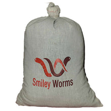 Load image into Gallery viewer, Worms, Red Wiggler, 0.5lb
