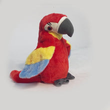 Load and play video in Gallery viewer, Toy, Talking Parrot
