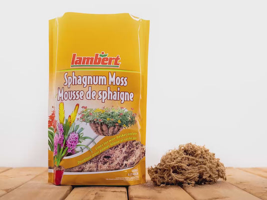 Sphagnum Moss, 8.8L Bag