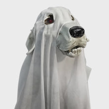 Load and play video in Gallery viewer, Decor, Light Up Ghost Dog, 55cm Tall
