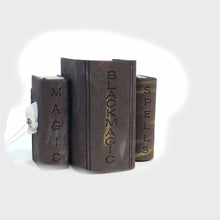 Load and play video in Gallery viewer, Decor Spooky Books
