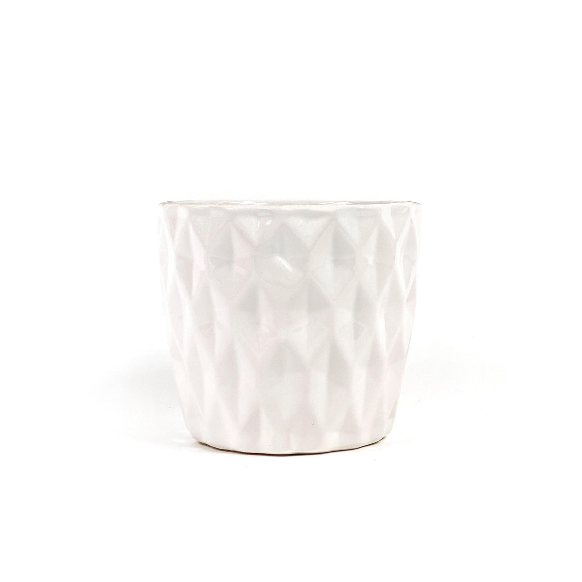 Pot, 4in, Ceramic, Dolomite, Summerhill White - Floral Acres Greenhouse & Garden Centre