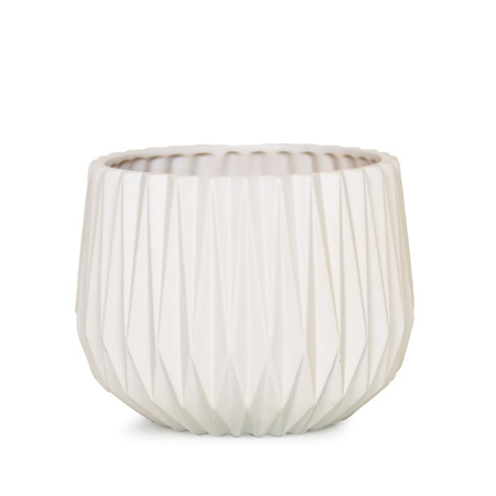 Pot, 6in, Ceramic, Dolomite, Adelaide Matte White - Floral Acres Greenhouse & Garden Centre