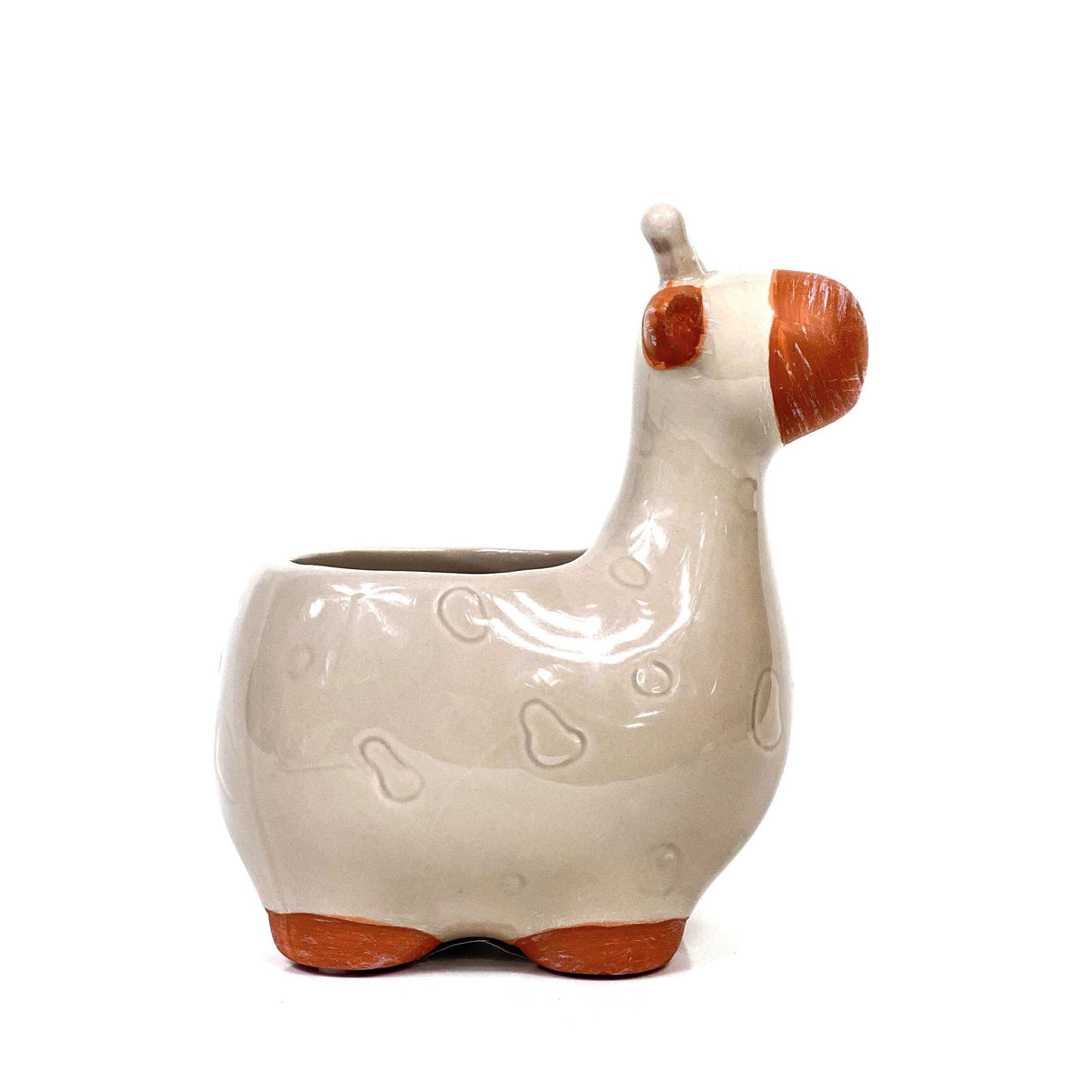 Pot, 3in, Ceramic, Dolomite, Giraffe - Floral Acres Greenhouse & Garden Centre