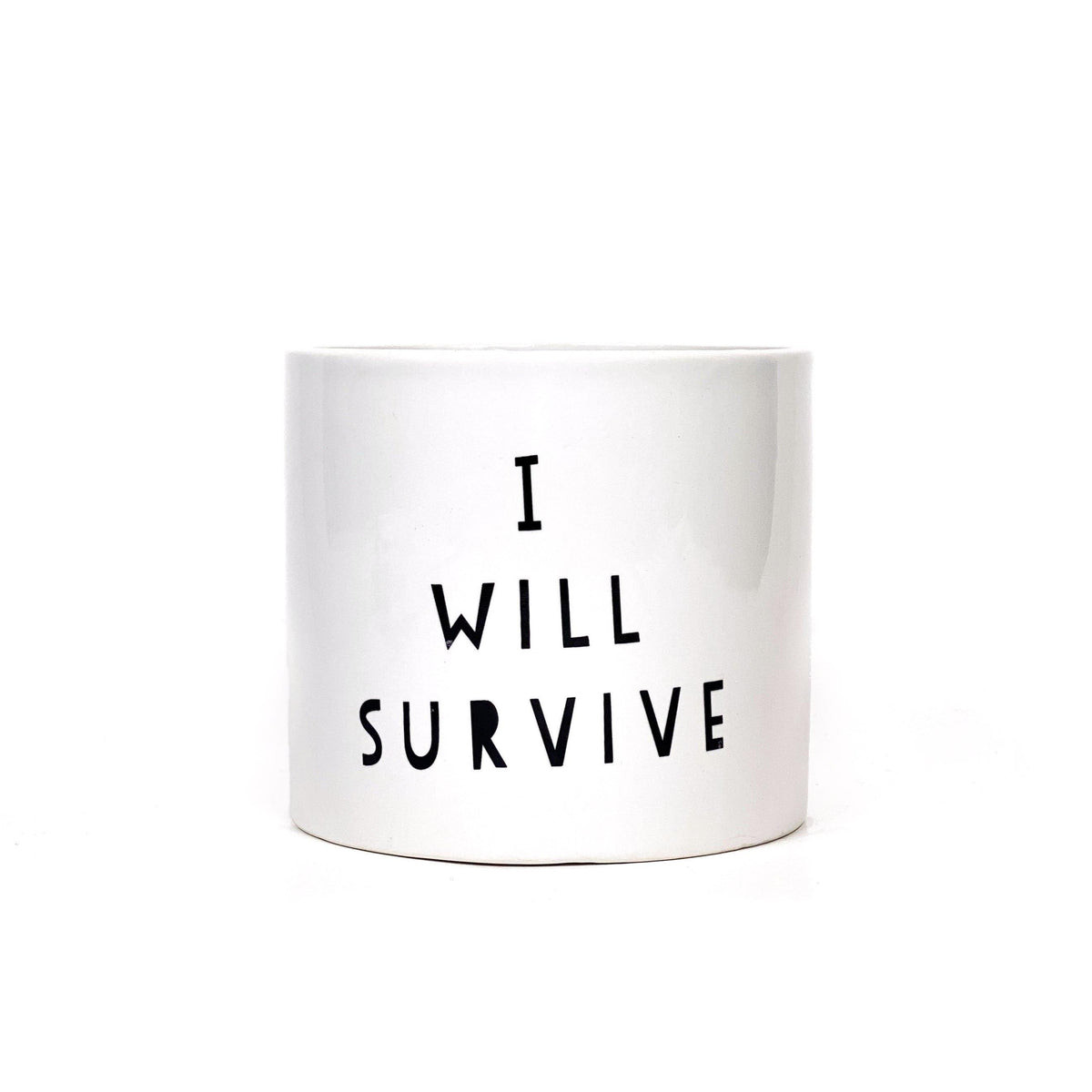 Pot, 4in, Ceramic, Dolomite, I Will Survive - Floral Acres Greenhouse & Garden Centre