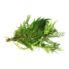 Load image into Gallery viewer, Boughs, Cedar, 3lb, Bunch
