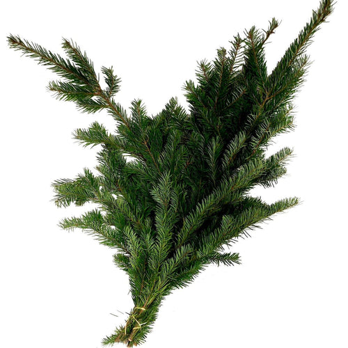 Fresh-cut Boughs, Douglas Fir, 3lb, Bunch - Floral Acres Greenhouse & Garden Centre