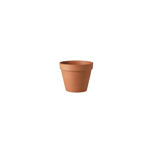 Pot, 5in, Terracotta, Mini - Floral Acres Greenhouse & Garden Centre
