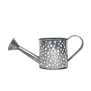 Pot, 5in, Zinc, Watering Can - Floral Acres Greenhouse & Garden Centre