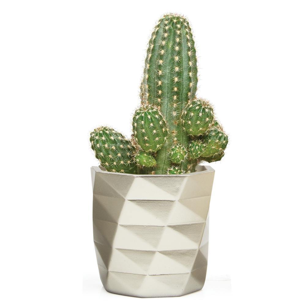 Stagma Pot, 3in, Pewter Diamonds - Floral Acres Greenhouse & Garden Centre