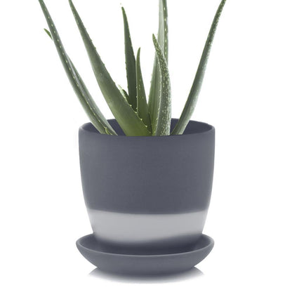 Pot & Saucer, 'Big Dyad', 6in - Floral Acres Greenhouse & Garden Centre