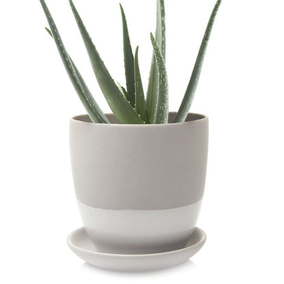 Pot & Saucer, 'Big Dyad', 6in - Floral Acres Greenhouse & Garden Centre