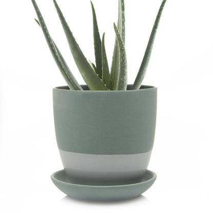 Pot & Saucer, 'Big Dyad', 6in - Floral Acres Greenhouse & Garden Centre