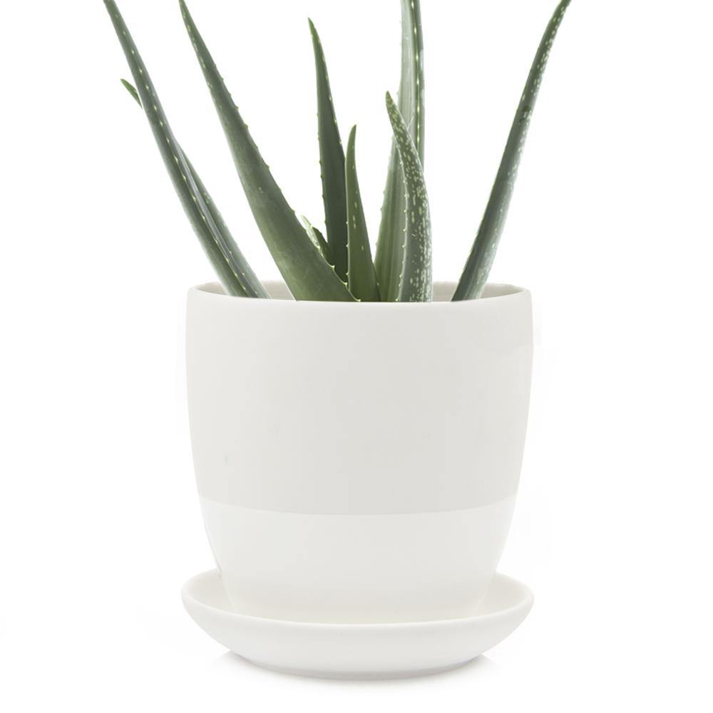 Pot & Saucer, 4in, Big Dyad