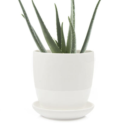 Pot & Saucer, 4in, Big Dyad