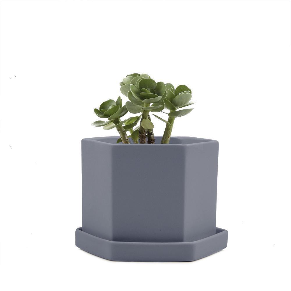 Pot & Saucer, 'Big Hexi', 4in - Floral Acres Greenhouse & Garden Centre