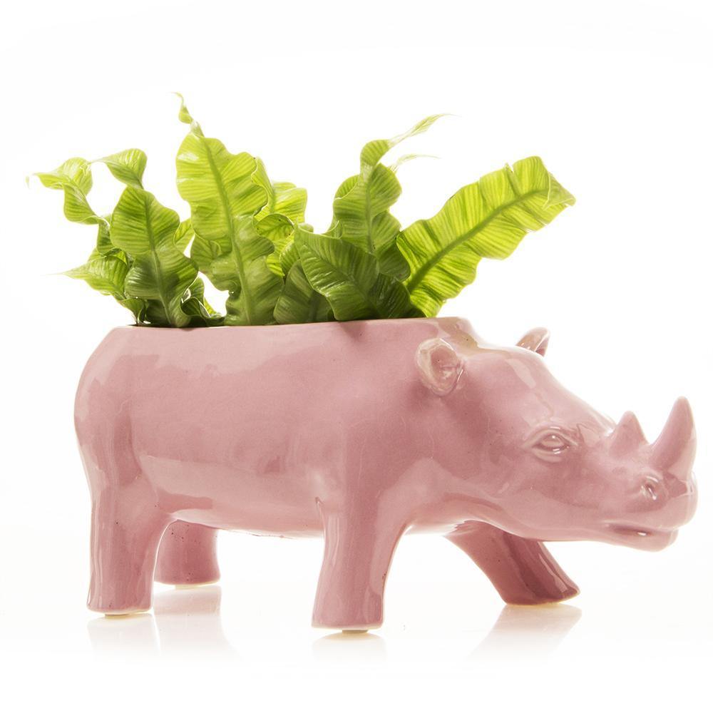 Rhino Planter, 3 Asst. Colours - Floral Acres Greenhouse & Garden Centre