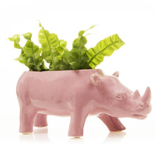 Load image into Gallery viewer, Rhino Planter, 3 Asst. Colours - Floral Acres Greenhouse &amp; Garden Centre
