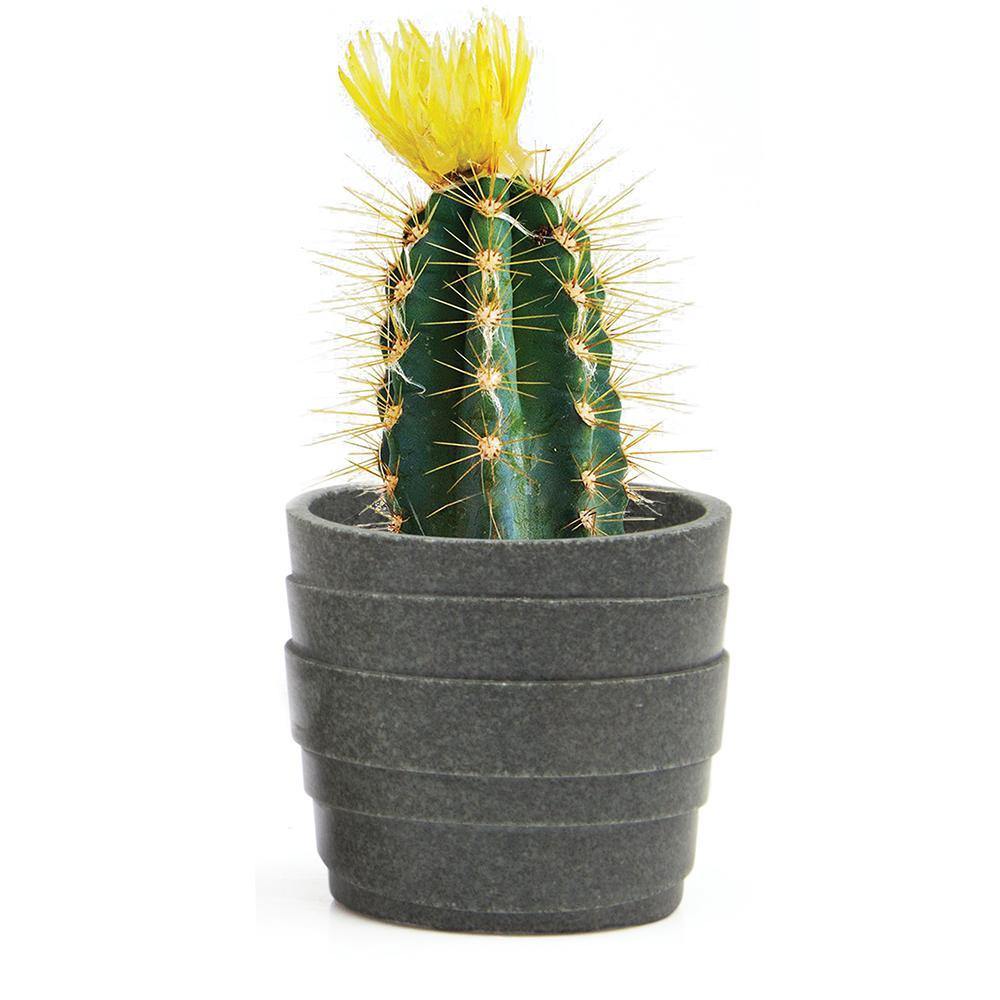Stagma Pot, 3in, Charcoal Lines - Floral Acres Greenhouse & Garden Centre