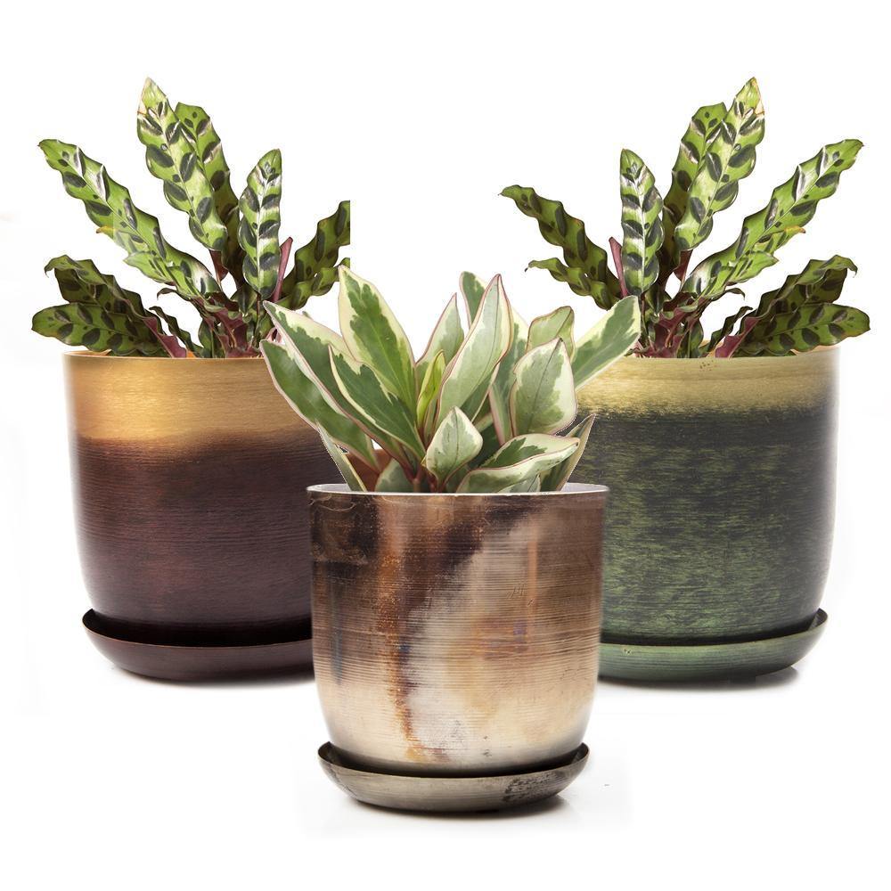 Pot & Saucer, 'Big Joe', 5in - Floral Acres Greenhouse & Garden Centre