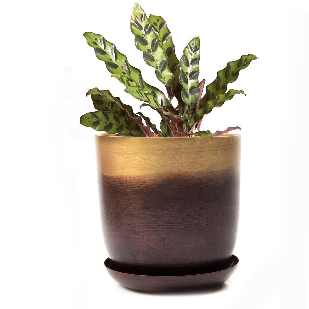Pot & Saucer, 'Big Joe', 5in - Floral Acres Greenhouse & Garden Centre