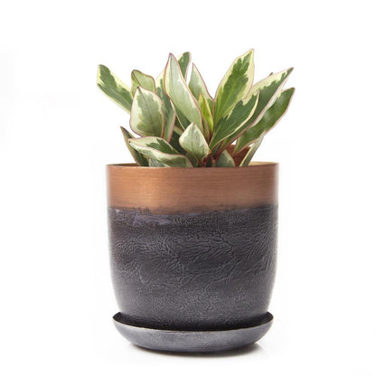Pot & Saucer, 'Big Joe', 5in - Floral Acres Greenhouse & Garden Centre