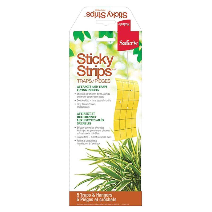 Sticky Strips Insect Traps, Includes 5 Traps - Floral Acres Greenhouse & Garden Centre