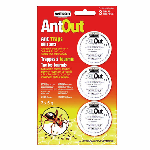 AntOut Ant Traps, Pack of Three 6g Traps - Floral Acres Greenhouse & Garden Centre